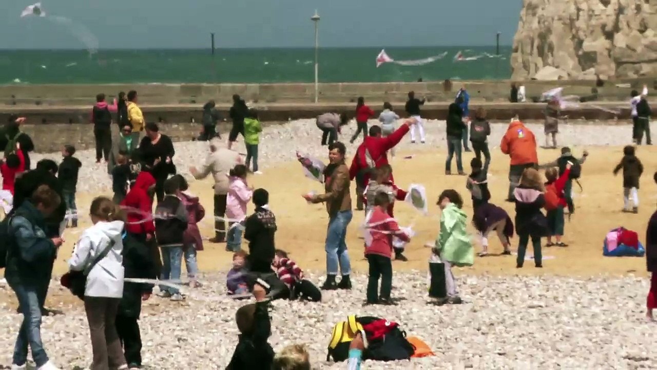 les Gros Becs : drôles d'oiseaux en migration ...