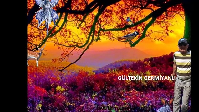 RESİMLERİN DİYARI & UZAYIN ÇİÇEĞİ MARON- FİKRİMİN İNCE GÜLÜ