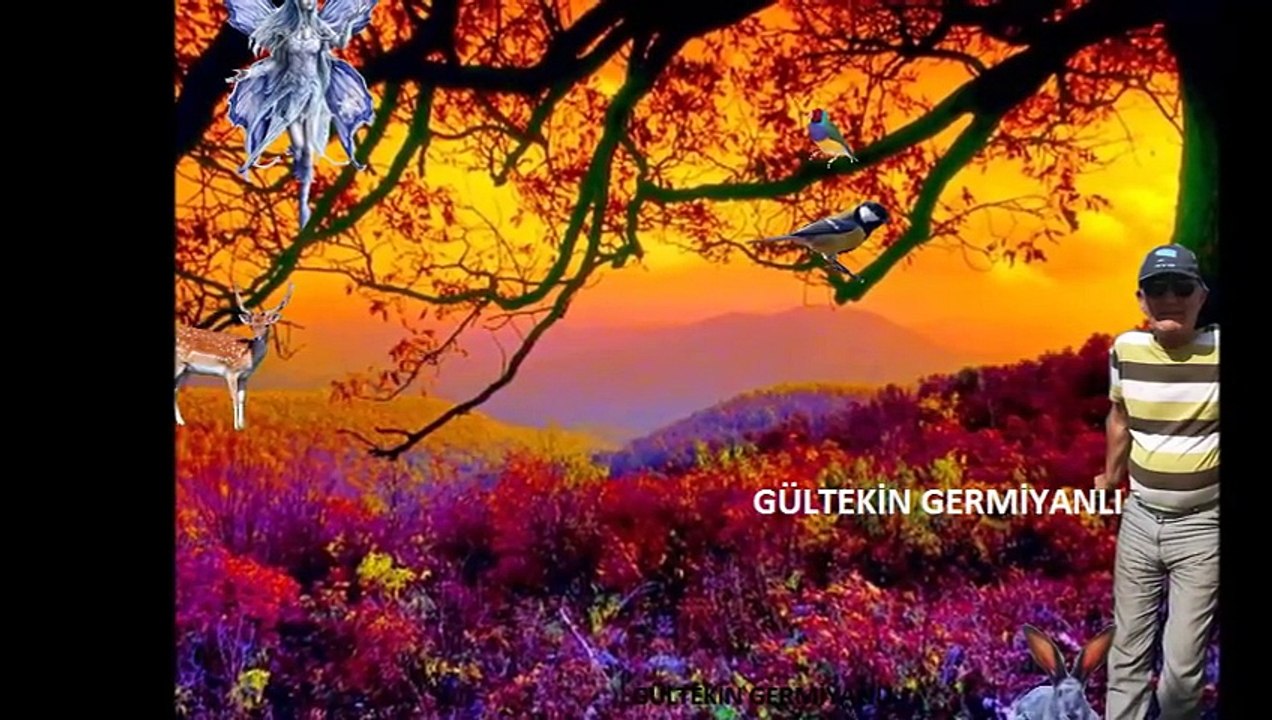 RESİMLERİN DİYARI & UZAYIN ÇİÇEĞİ MARON- FİKRİMİN İNCE GÜLÜ