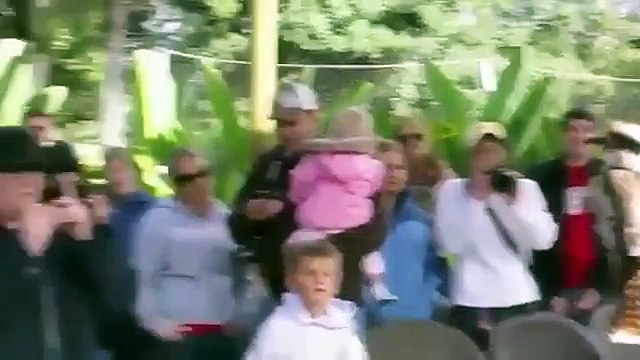 Птица хохотун. Смешная птица кукабара