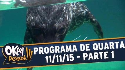Okay Pessoal!!! 11.11.15 - Quarta - Parte 1