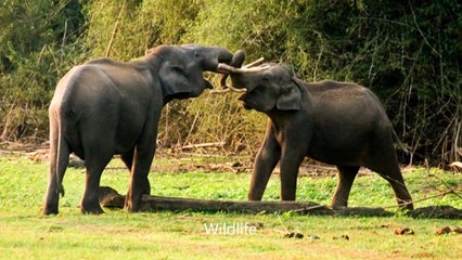 Explore Kerala Tour Packages with Discover-India.in