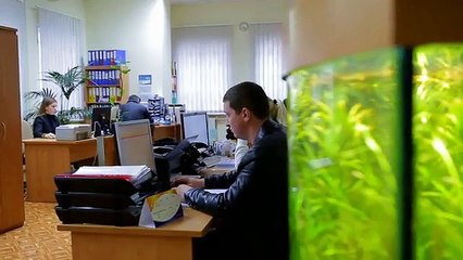 Особенности корпорации СИРИУС