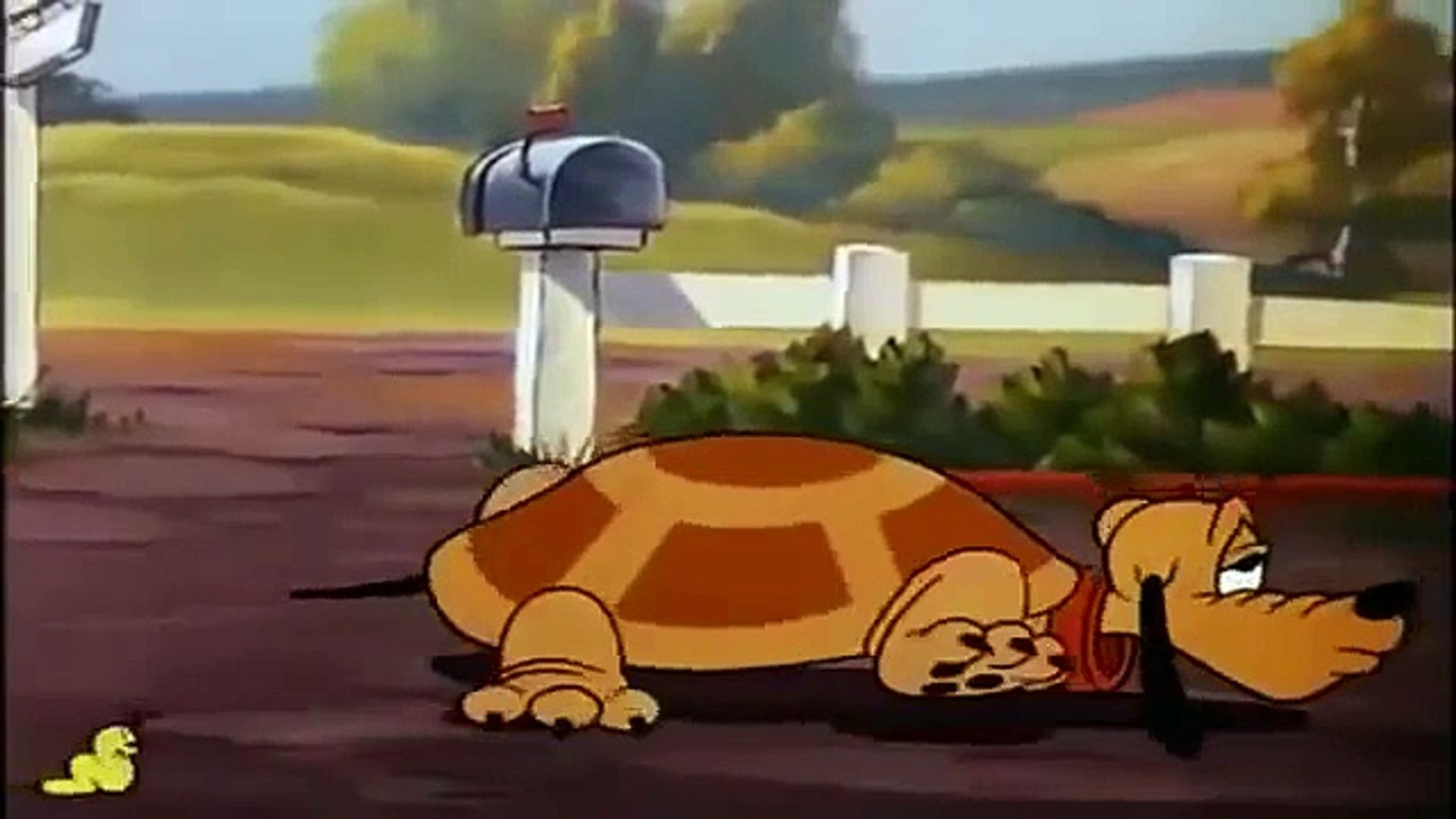 Donald duck videos Chip And Dale & Donald Duck Cartoons disney cartoon classic movies