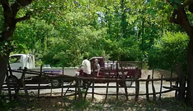 Düğün Dernek 2 Sünnet Fragmanı