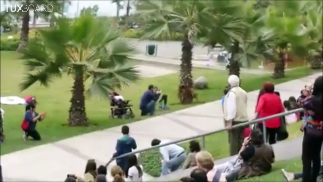 Ce chien qui skate va battre un record du monde insolite!