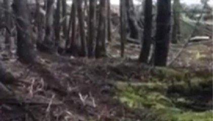 Footage Of Earth 'Breathing' Like Sleeping Giant