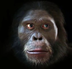 The evolution of man's face over the course of 6 million years