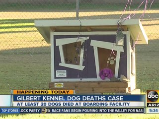Gilbert kennel dog deaths update