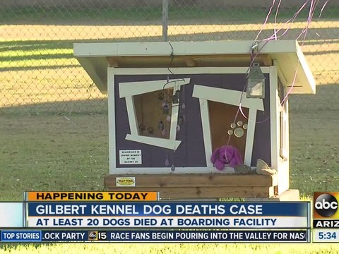 Gilbert kennel dog deaths update