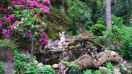 Escale au Jardin d'Eden à Tournon
