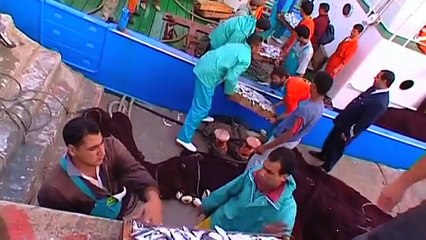 جهة العيون بوجدور