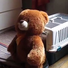 When you don't want to sleep alone...