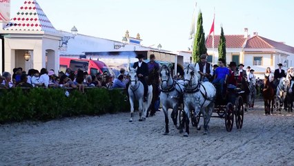 Golegã 2015