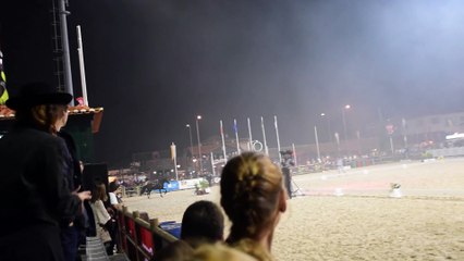 Cavalo invade recinto na Golegã
