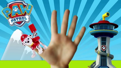 Paw Patrol Finger Family Song! Paw Patrol Daddy Finger, Finger Family Paw Patrol, Paw Patr