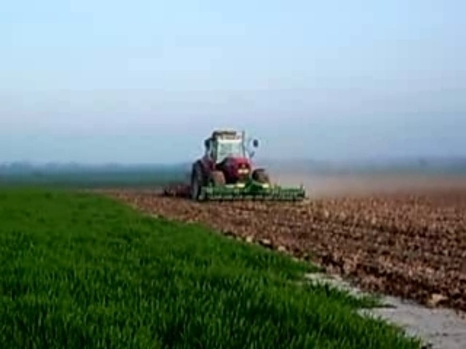 Préparation pomme de terre