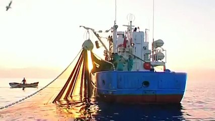 Region Oued Eddahab Lagouira