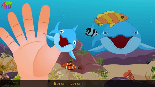 Семья пальчиков-дельфинов | Dolphin Finger Family in Russian
