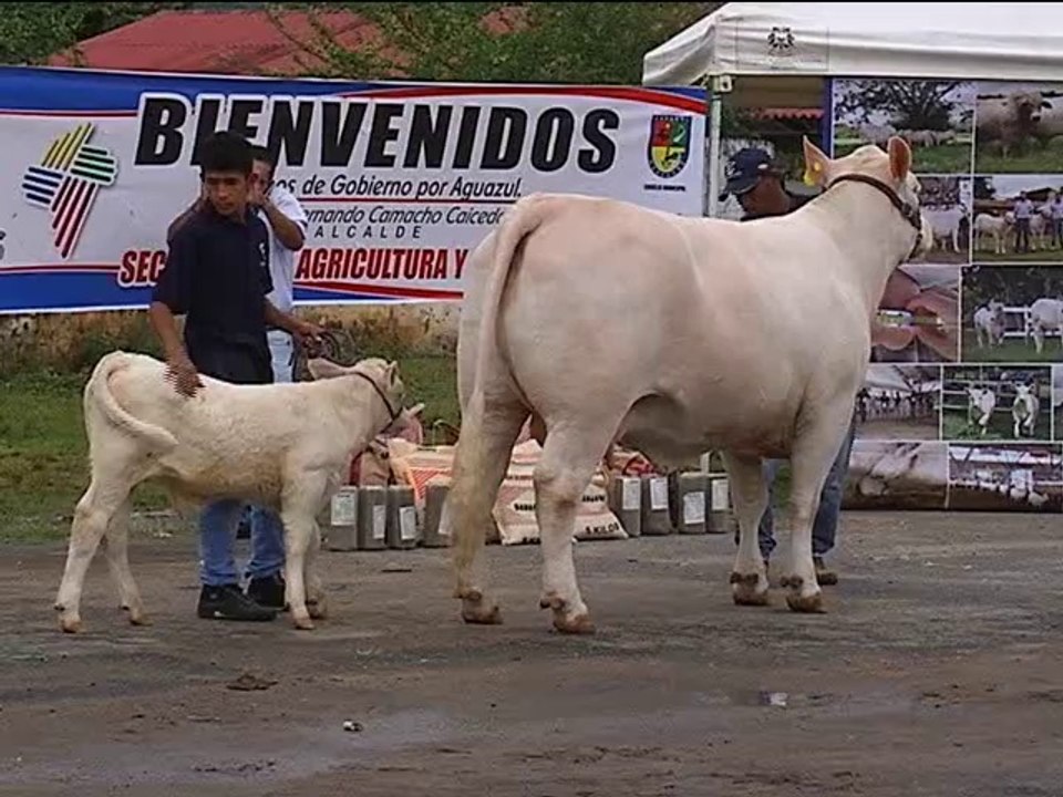 12 de Noviembre 2015 Invitación Feria Nacional Charolaise-Charbray.