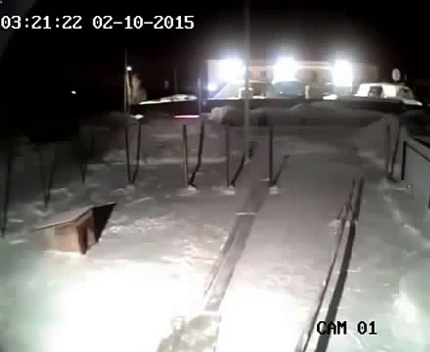 Wolf dragged the dog off the chain