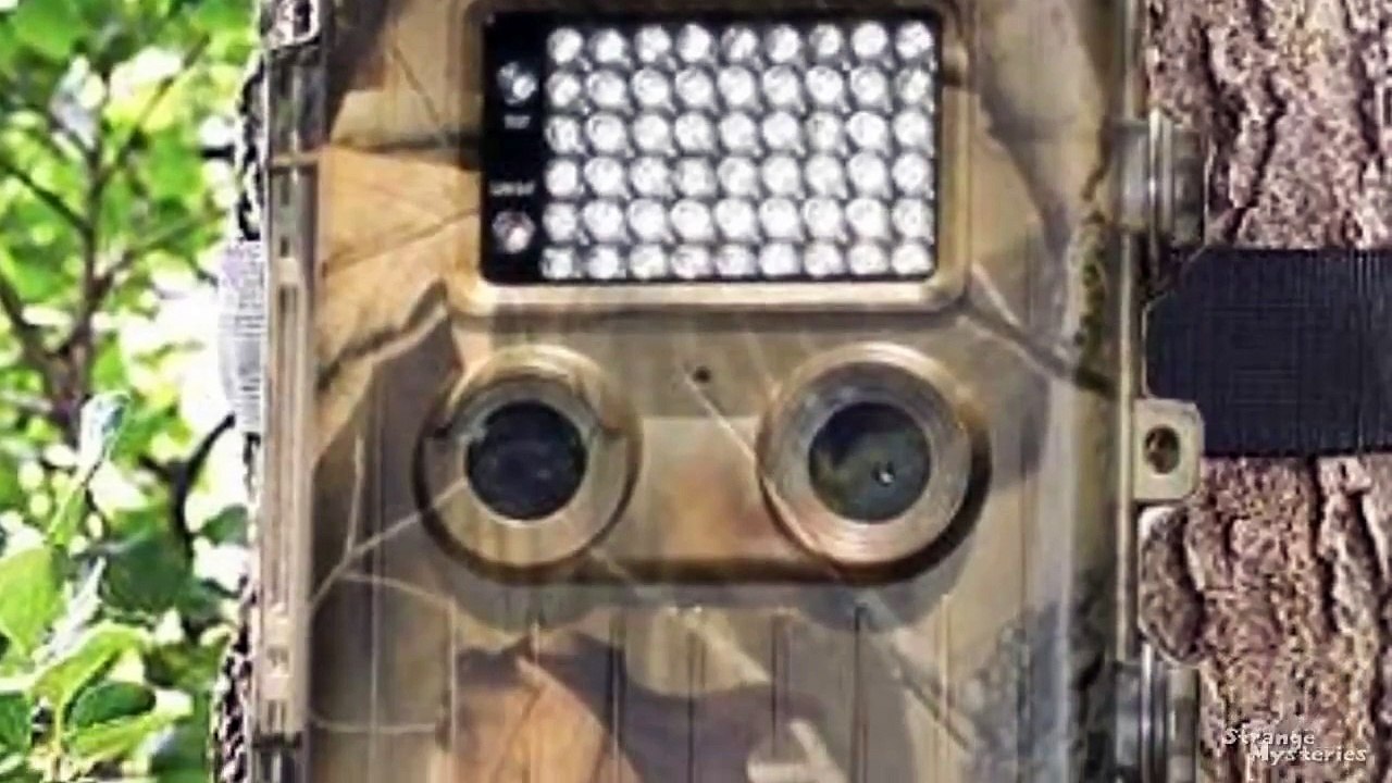 Alien Creature Caught on Camera
