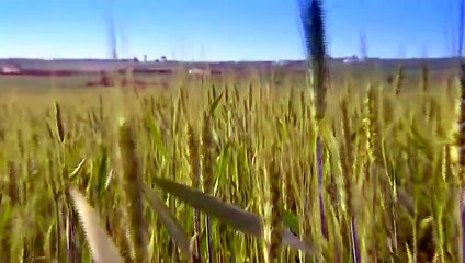 Region de Gharb-Chrarda Beni Hssen