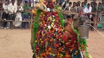 Camel and Horse Dancing at The Yearly Nagaur Cattle Fair in Rajasthan, India