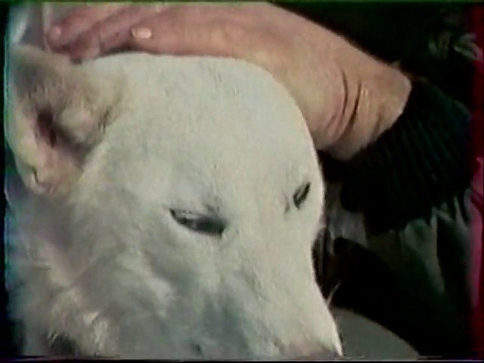 WILL TO GO   souvenir