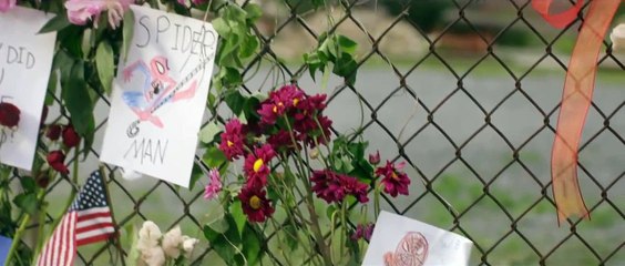 Spider-Man Lives: A Miles Morales Story