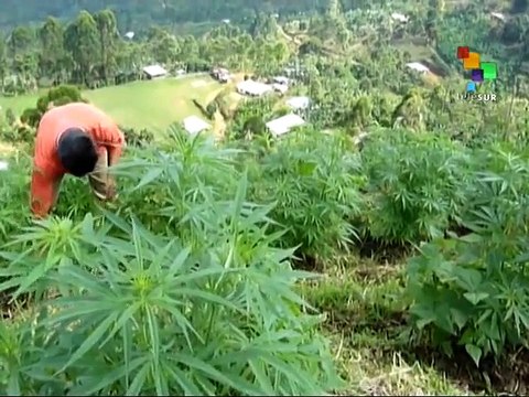 From the South - Paramilitaries Main Threat to Colombian Peace Process