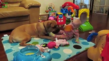 Big Dogs Playing with Babies Compilation 2015 [NEW HD]