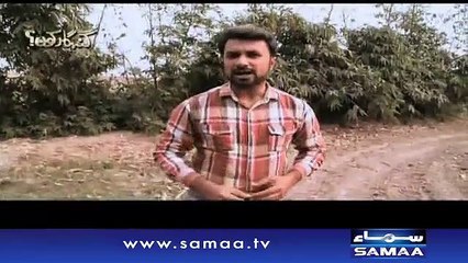 Zulm ki maari - Gunahgar Kaun - 12 Nov 2015