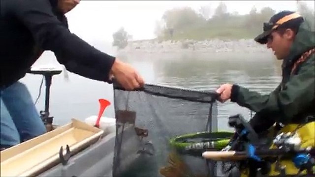 brochet 1,06 m concours jojo