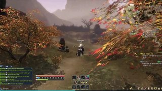 Blade and Soul Gameplay