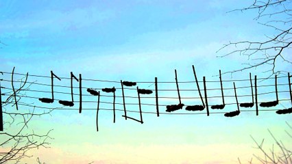 Ars Natura am Heiligenberg (Bilder einer Ausstellung)