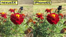 【カメラ対決】iPhone6s vs Nexus5Xだぁーーー！カメラ画質比較テスト