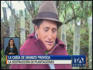 La caída de granizo provocó daños en las plantaciones