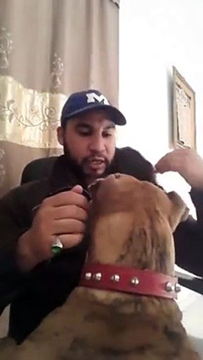 العنقور يعود من جديد ويرد على الهاشمي الحامدي وسمير الوافي