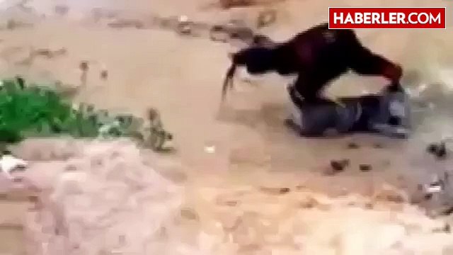 Sapık Horoz Kediye Tecavüz Ediyor kedi tecavüze uğruyor :)