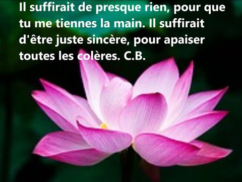 Pensées Positives sur la vie