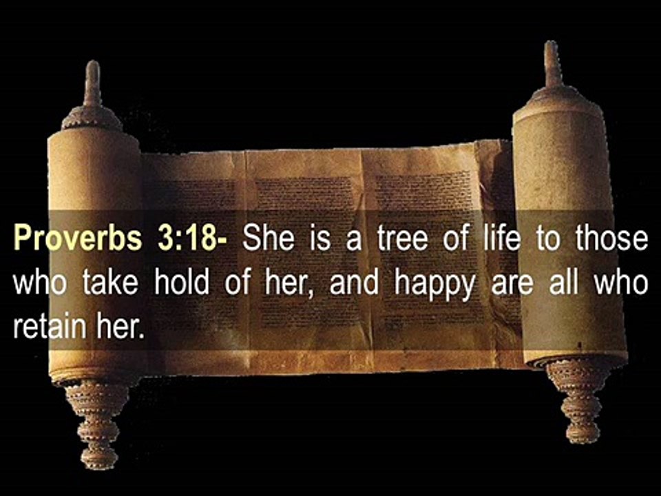 THE TWO TREES Part 2 of 2 The Two Women [Low, 360p]