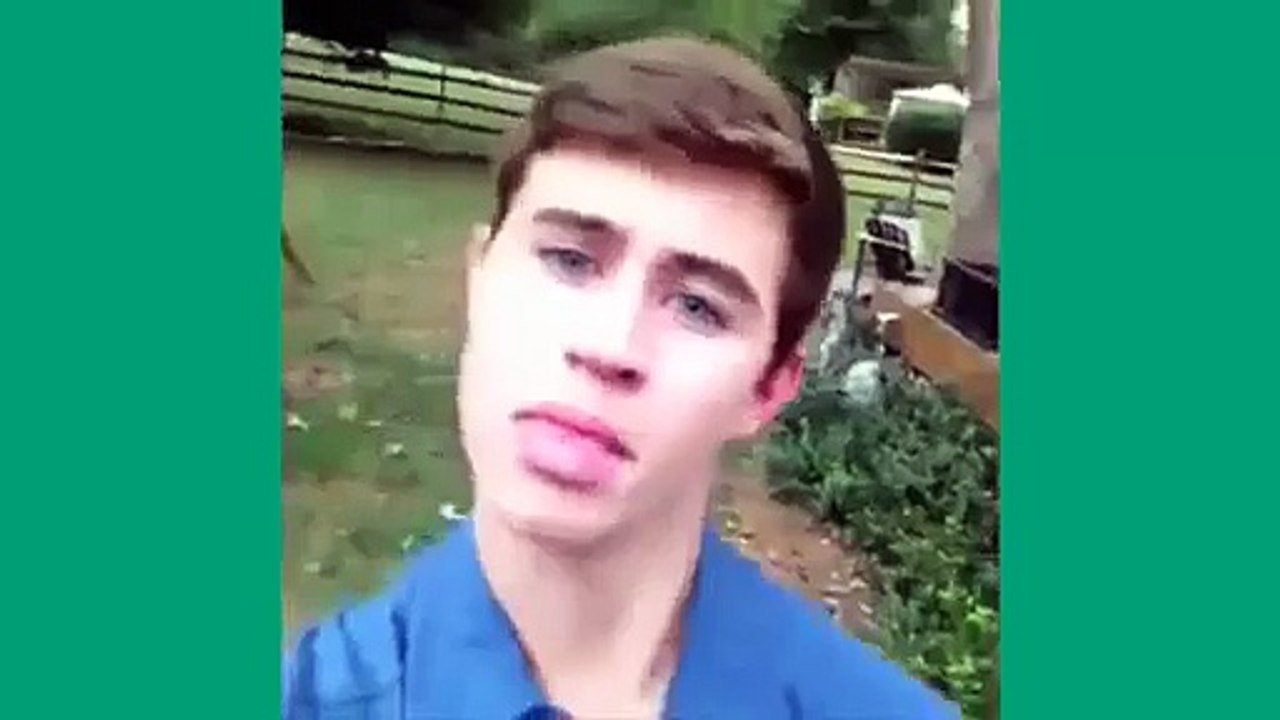 Cute Cat Vines
