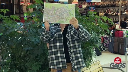 Movember Pranks - Best of Just For Laughs Gags