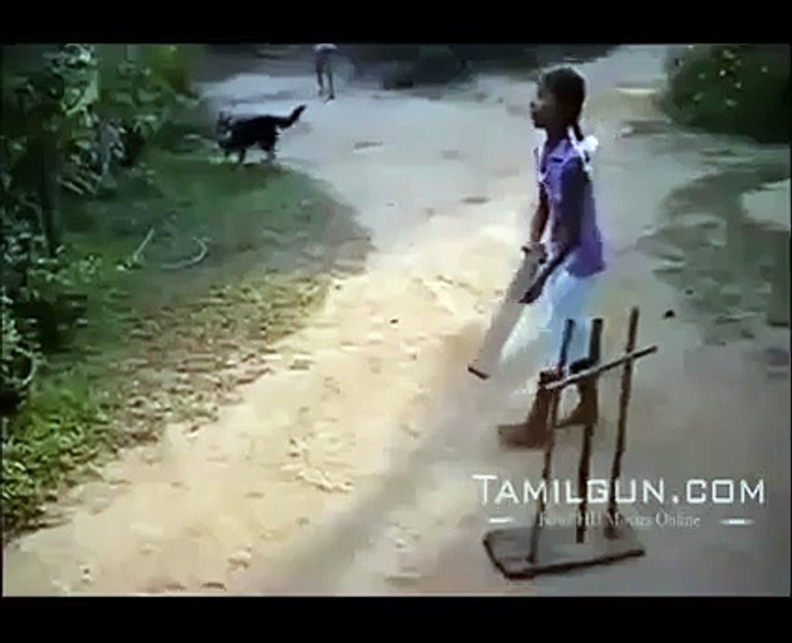 Dog Playing Cricket