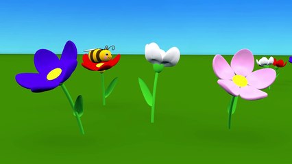 Dessins animés pour bébés en français. Apprenez les formes géometrique avec une petit
