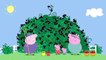猪 Peppa Pig - The Blackberry Bush (Clip) pepa