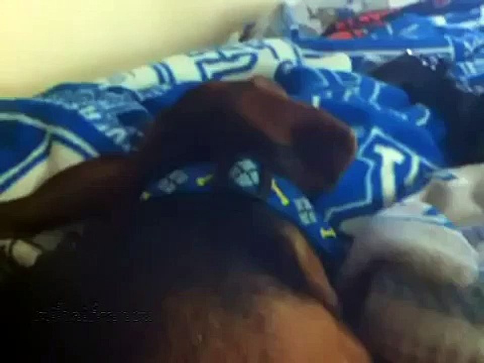 Dramatic Dog