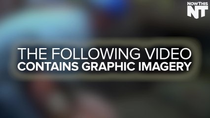 Undercover Animal Rights Activist Films Horrifying Pig Abuse At Hormel