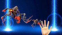 Finger Family Nursery Rhymes Treasure Planet Cartoons _ Finger Family Rhymes For Children